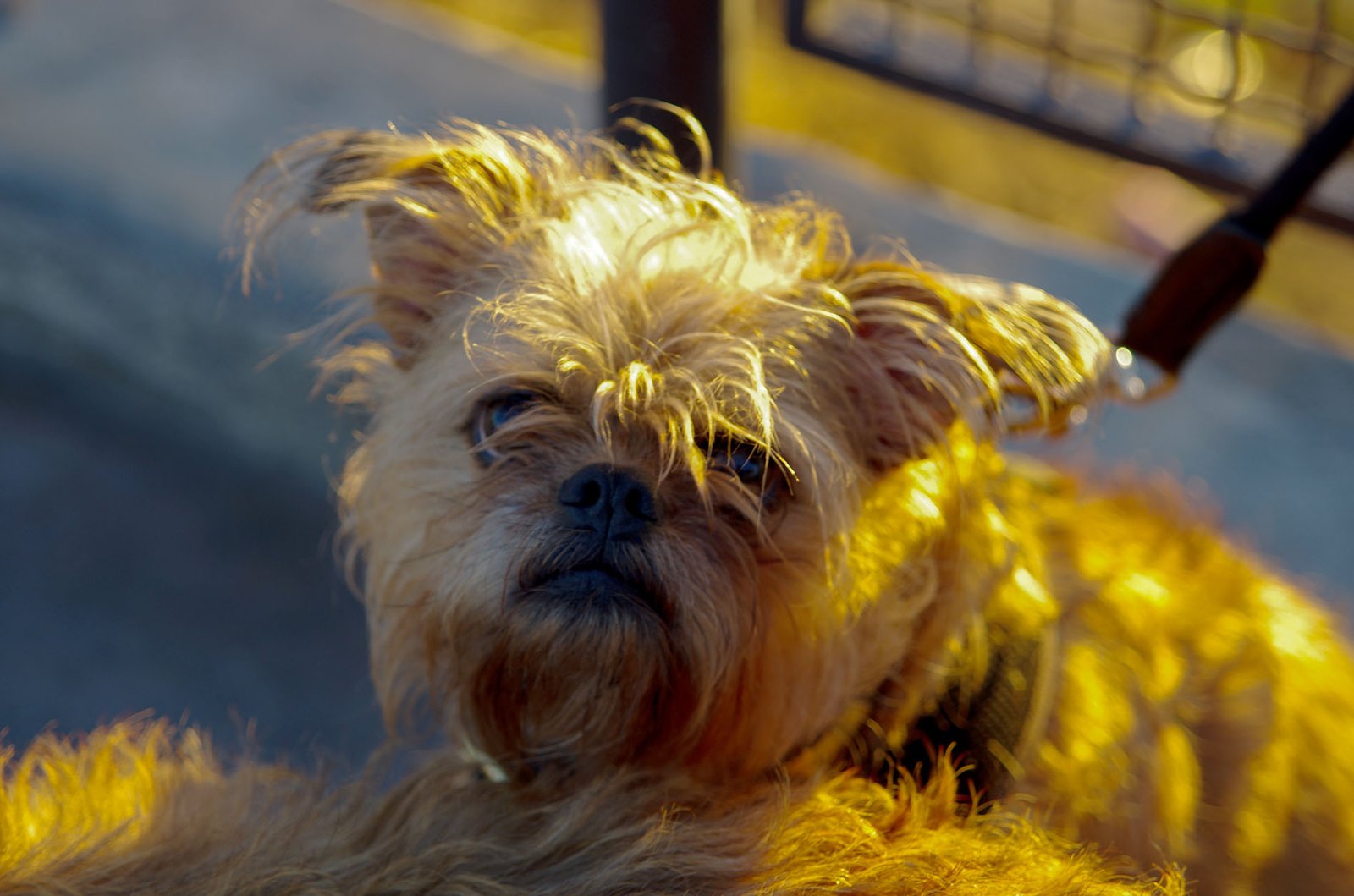 Griffith Observatory  066